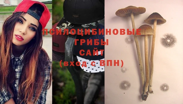 винт Аркадак