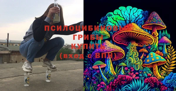 винт Аркадак